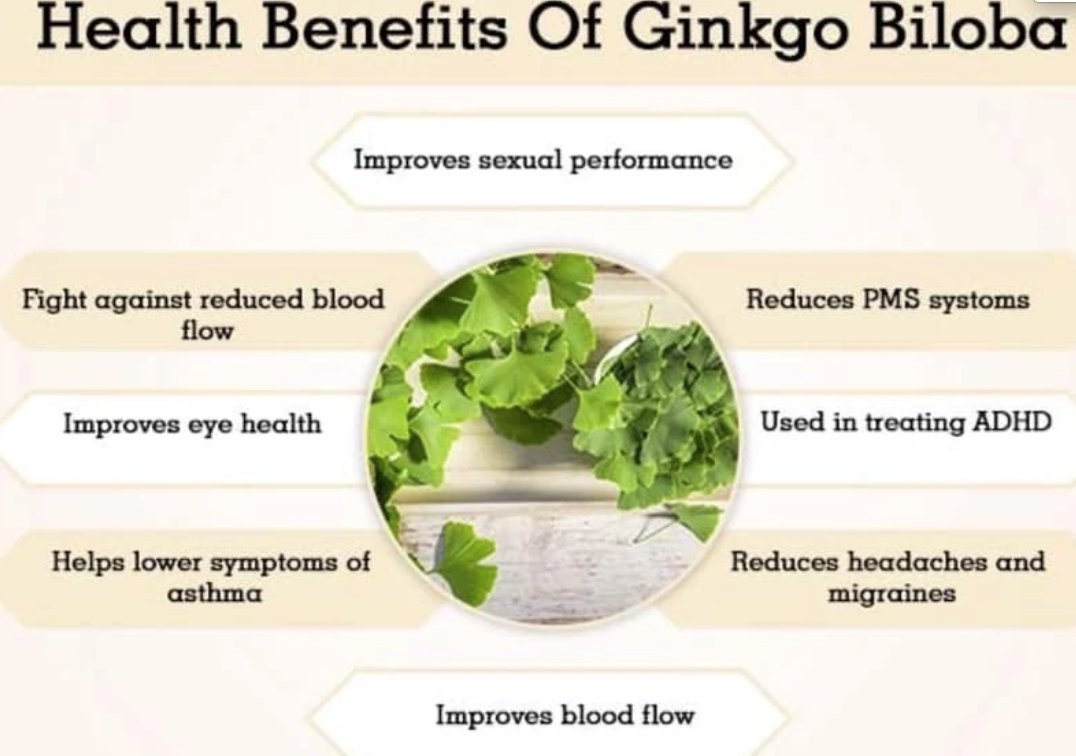 GİNKO BİLOBA ANTİDEPRESSANLARIN SEKSÜEL YAN ETKİLERİNİ DÜZELTİYOR