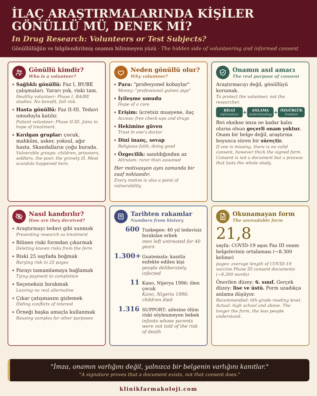 İlaç araştırmalarında kişiler gönüllü mü, denek mi? Gönüllülük ve bilgilendirilmiş onam, Türkçe ve İngilizce infografik