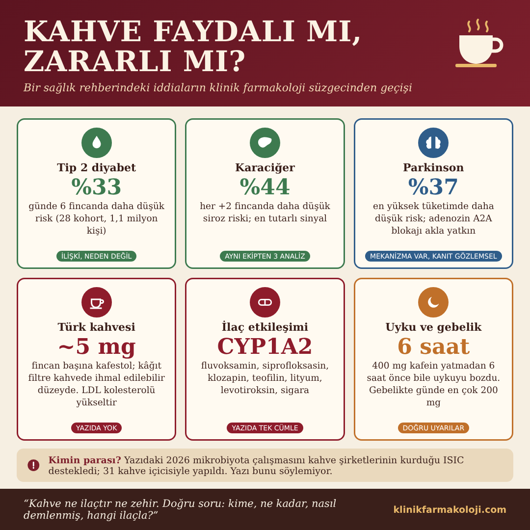 Kahve faydalı mı, zararlı mı? Diyabet, karaciğer, Parkinson, Türk kahvesi, ilaç etkileşimleri, uyku ve gebelik. İnfografik